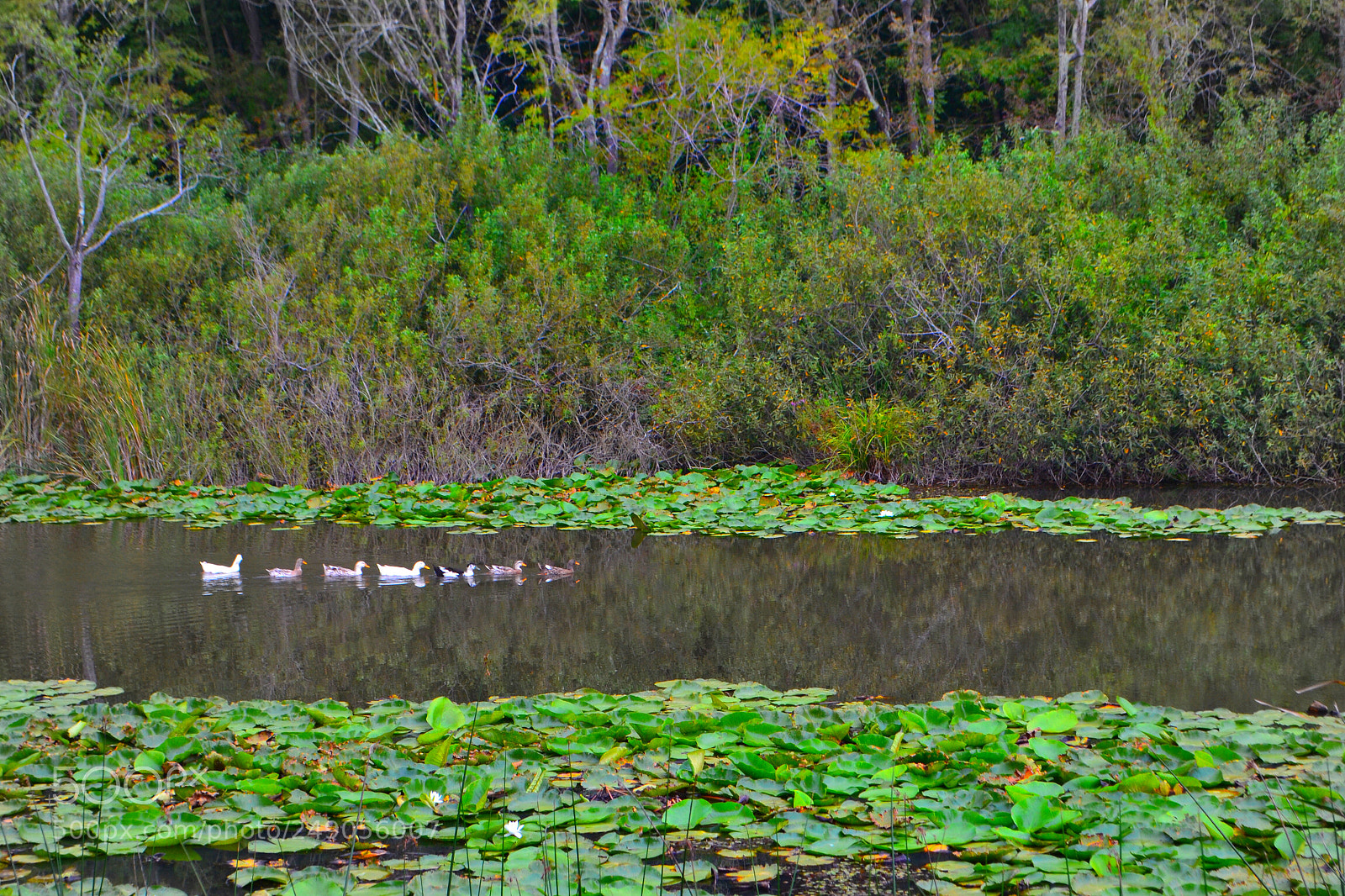 Nikon D3100 sample photo. Follow me photography
