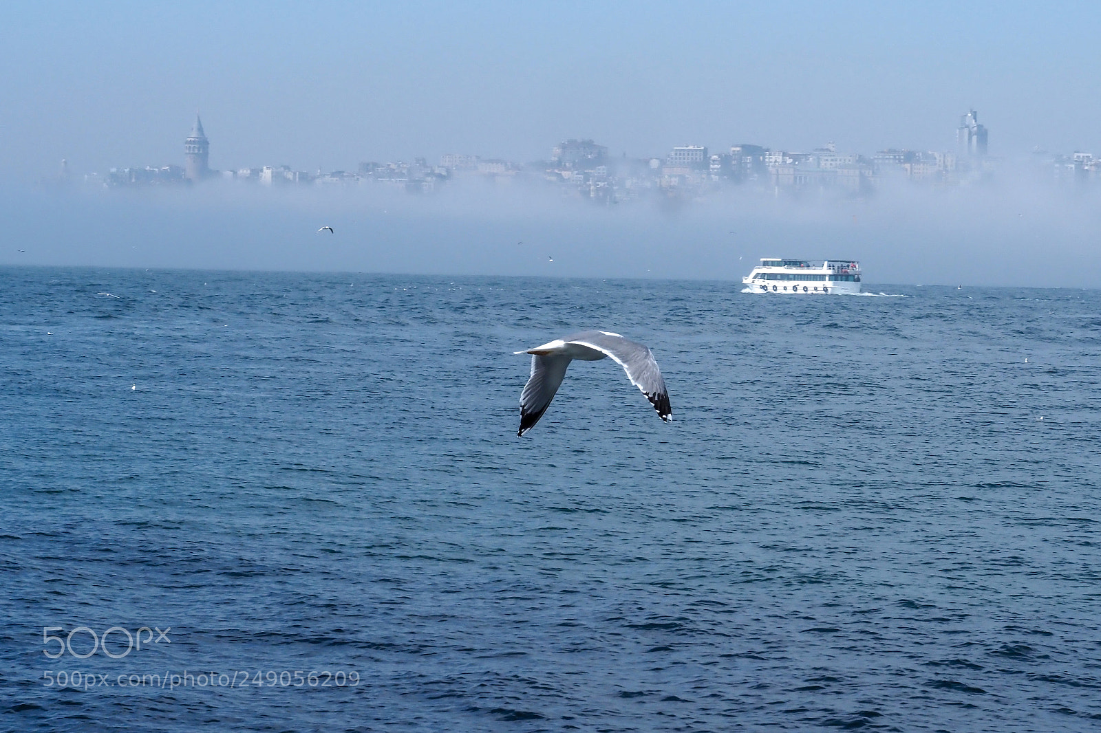 Olympus OM-D E-M1 Mark II sample photo. İstanbul photography