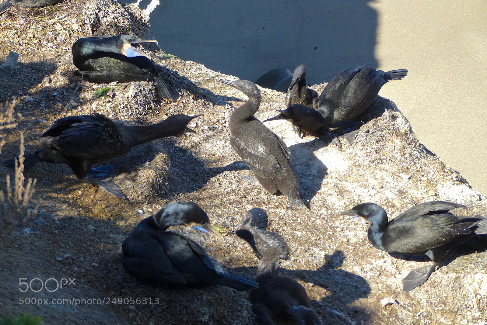Panasonic Lumix DMC-FZ200 sample photo. A day of drama photography
