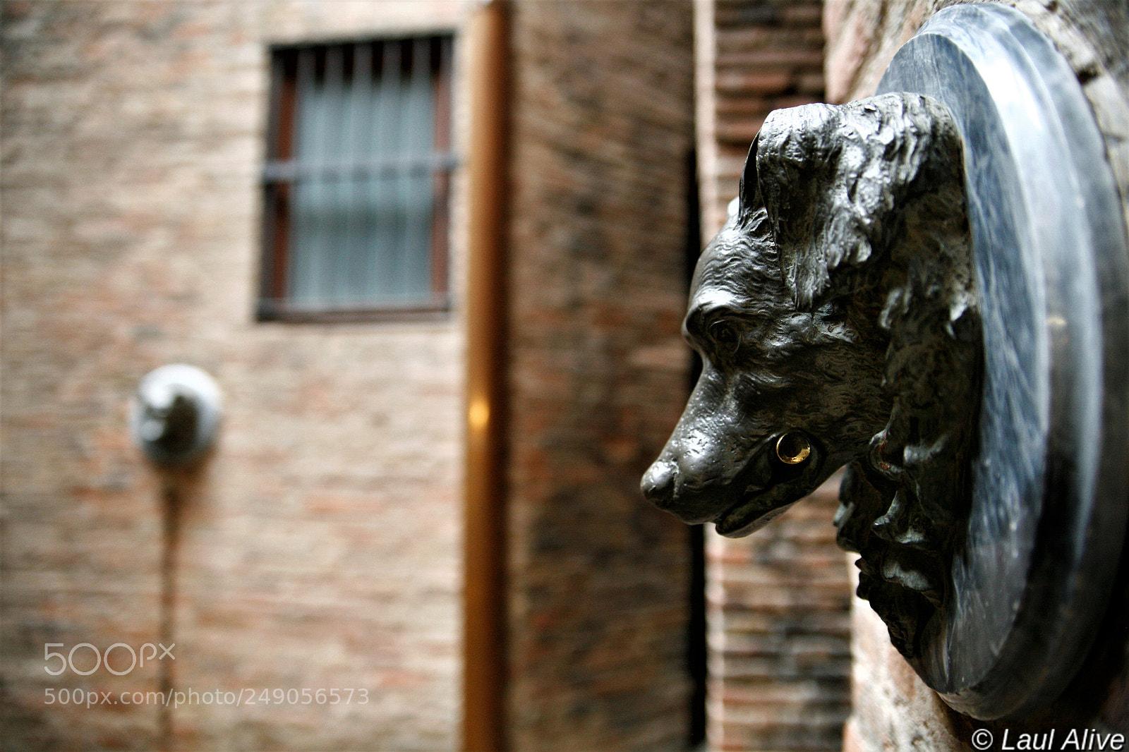 Canon EOS 5D sample photo. Palau guell (1) photography