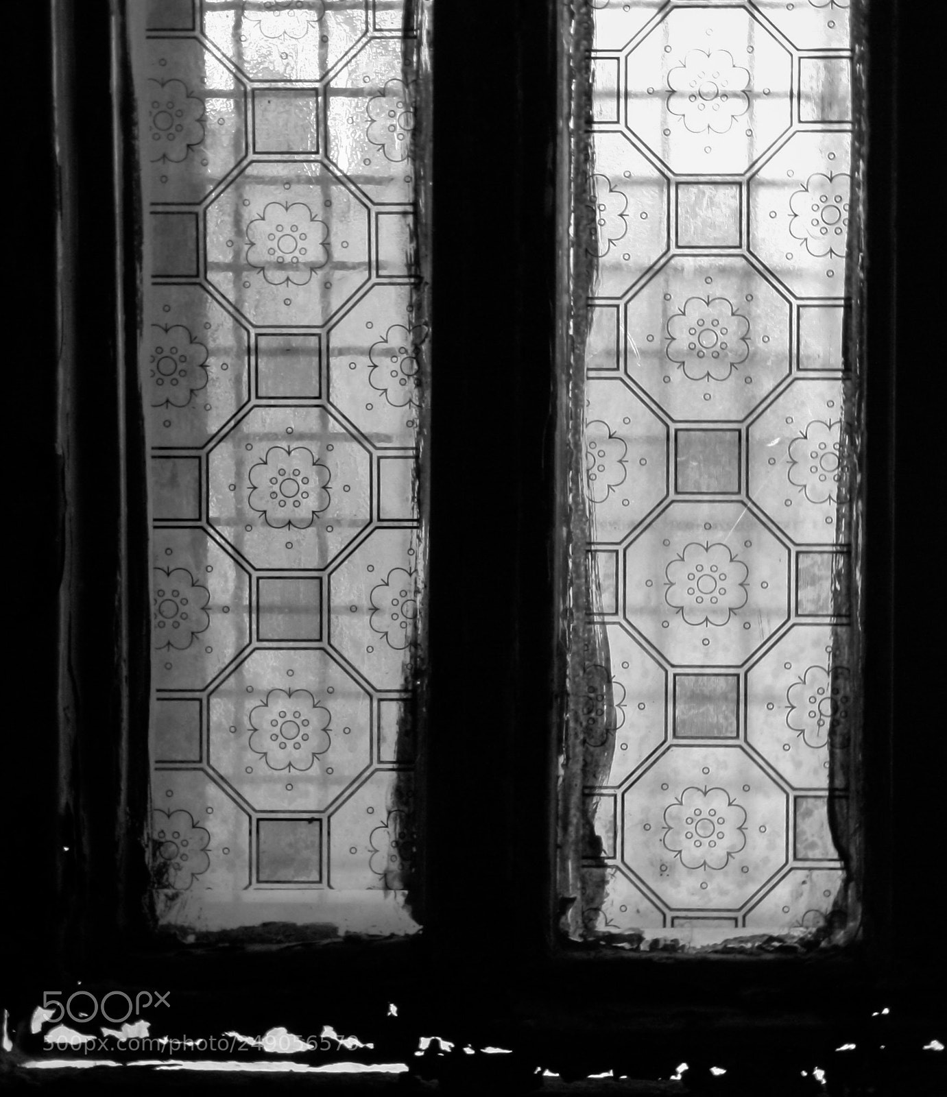 Canon EOS 40D sample photo. Still life, still moving.... photography