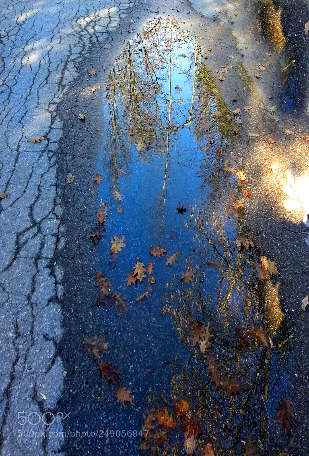 Samsung Galaxy S3 sample photo. Quietude photography
