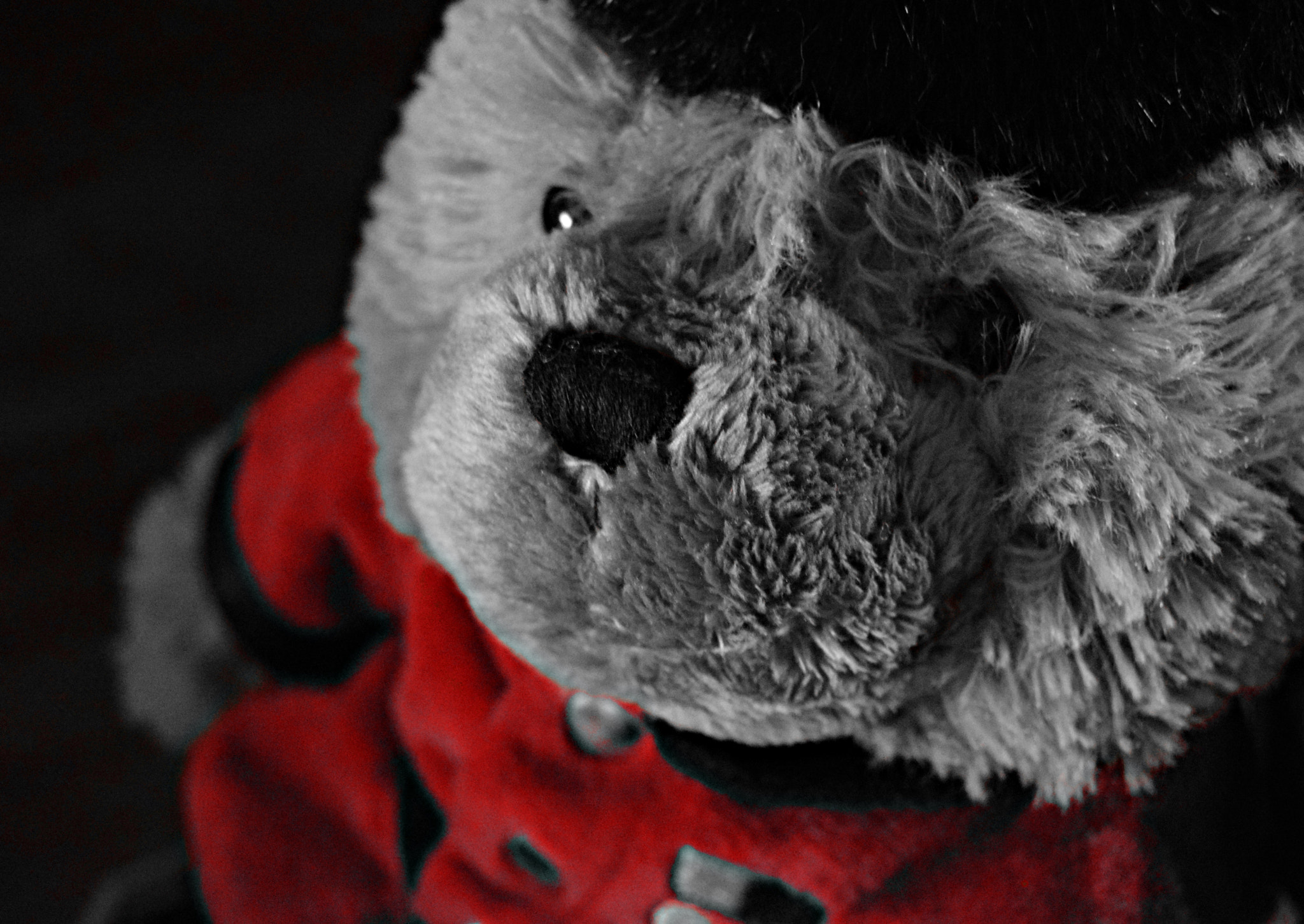 Nikon D3300 sample photo. London teddy bear photography