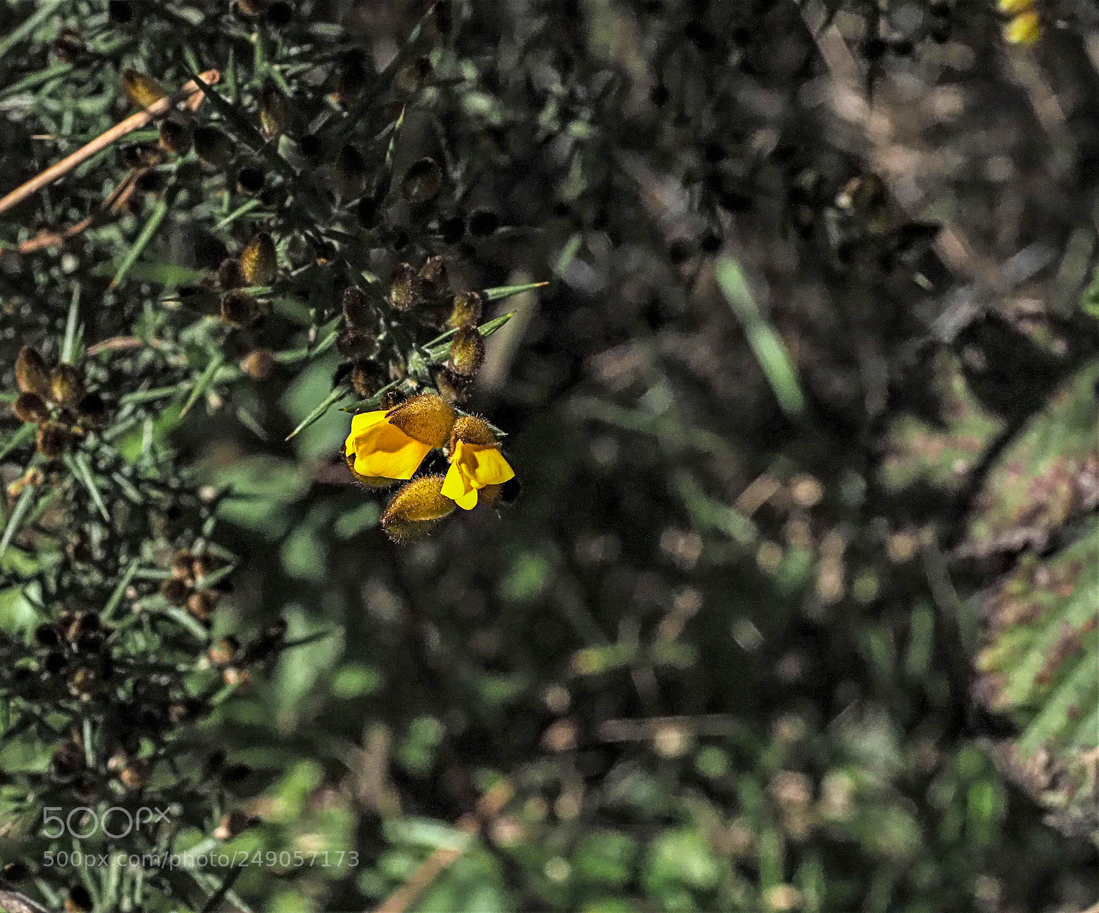 Olympus OM-D E-M1 Mark II sample photo. Olympus digital camera photography