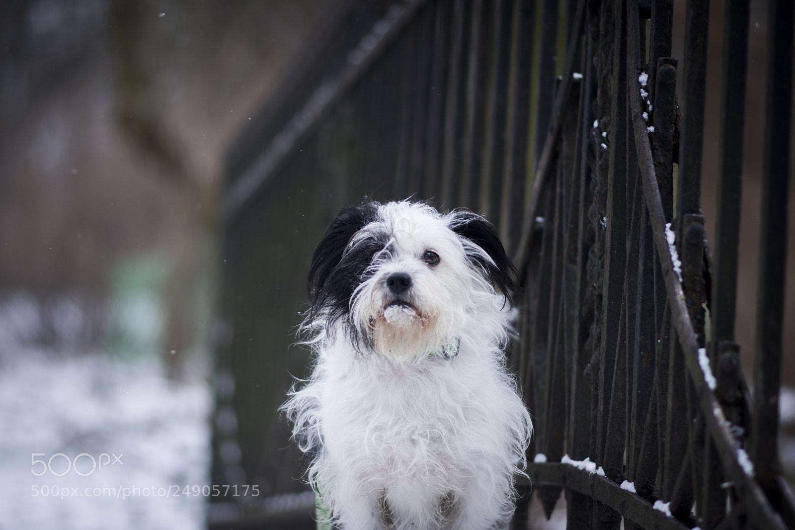 Nikon D7200 sample photo. Untitled photography