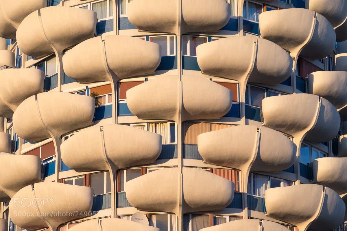 Fujifilm X-T1 sample photo. Seventies concrete leaves. photography