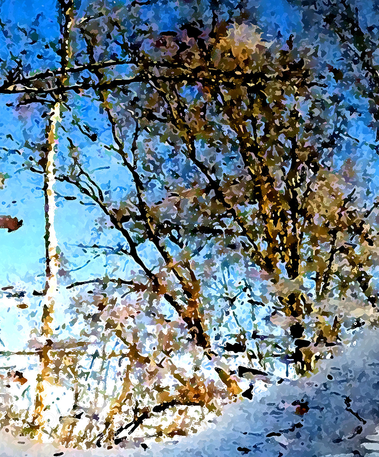 Samsung Galaxy S3 sample photo. Beauty in the winter photography