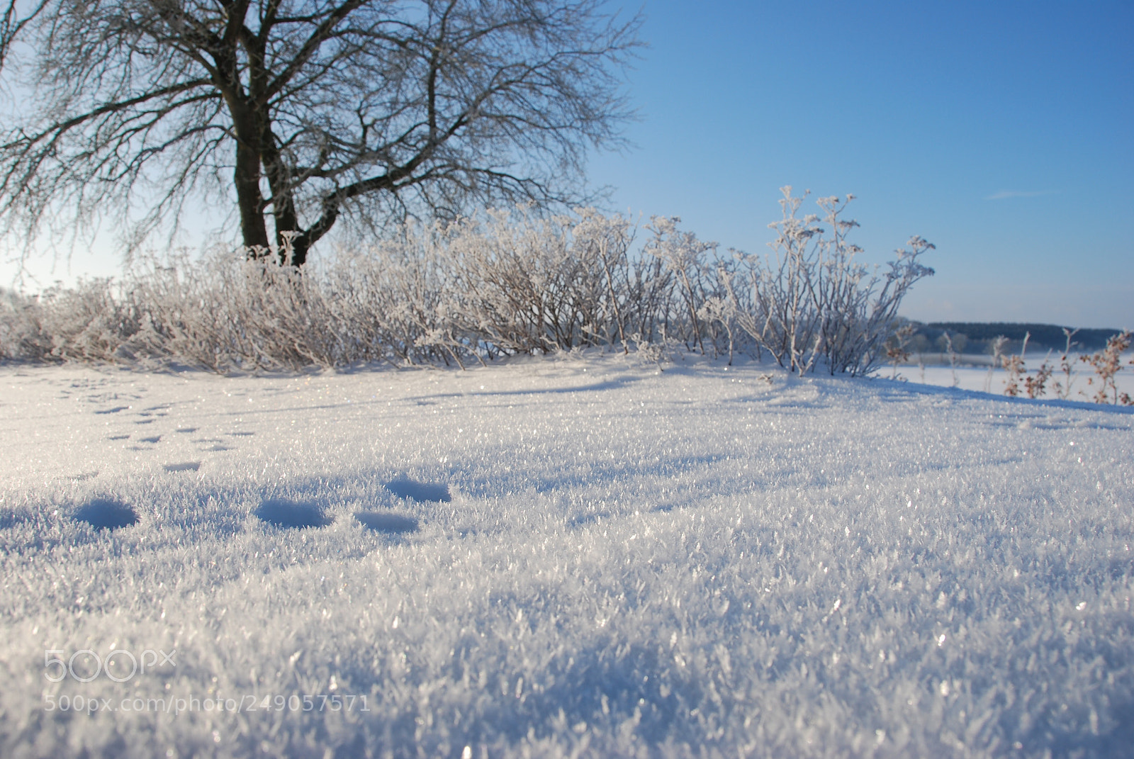 Nikon D40X sample photo. Winter photography