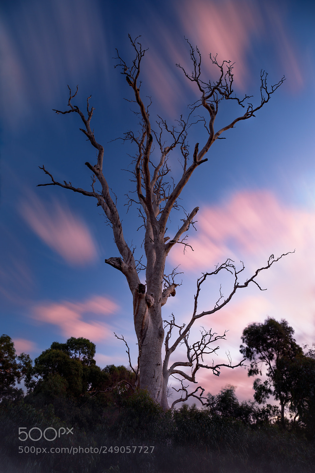 Canon EOS 5D Mark IV sample photo. Sunset fire photography