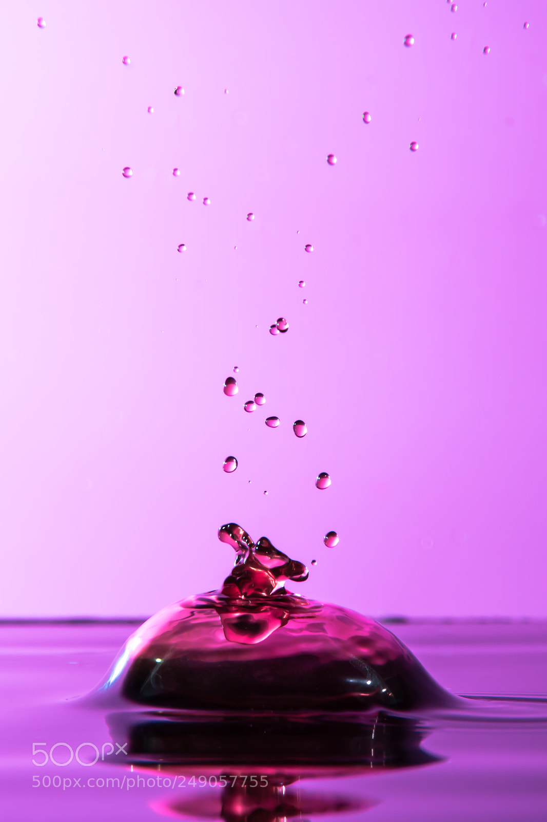 Nikon D7100 sample photo. Untitled photography