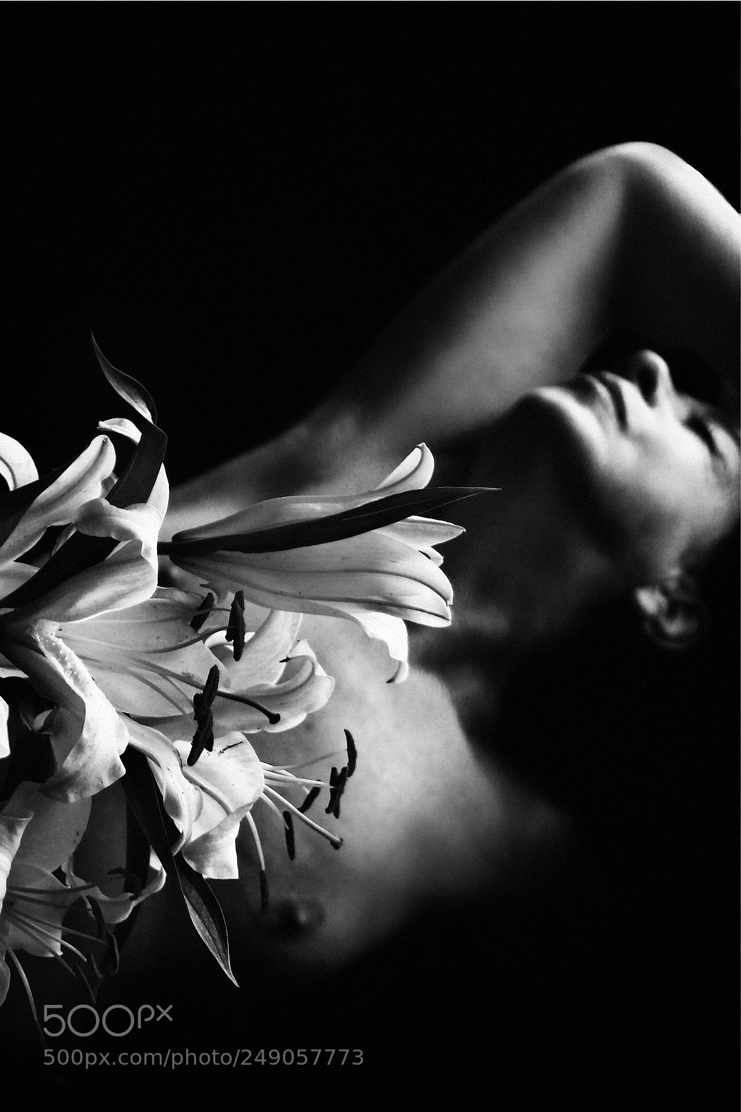 Canon EOS 60D sample photo. Lilies photography