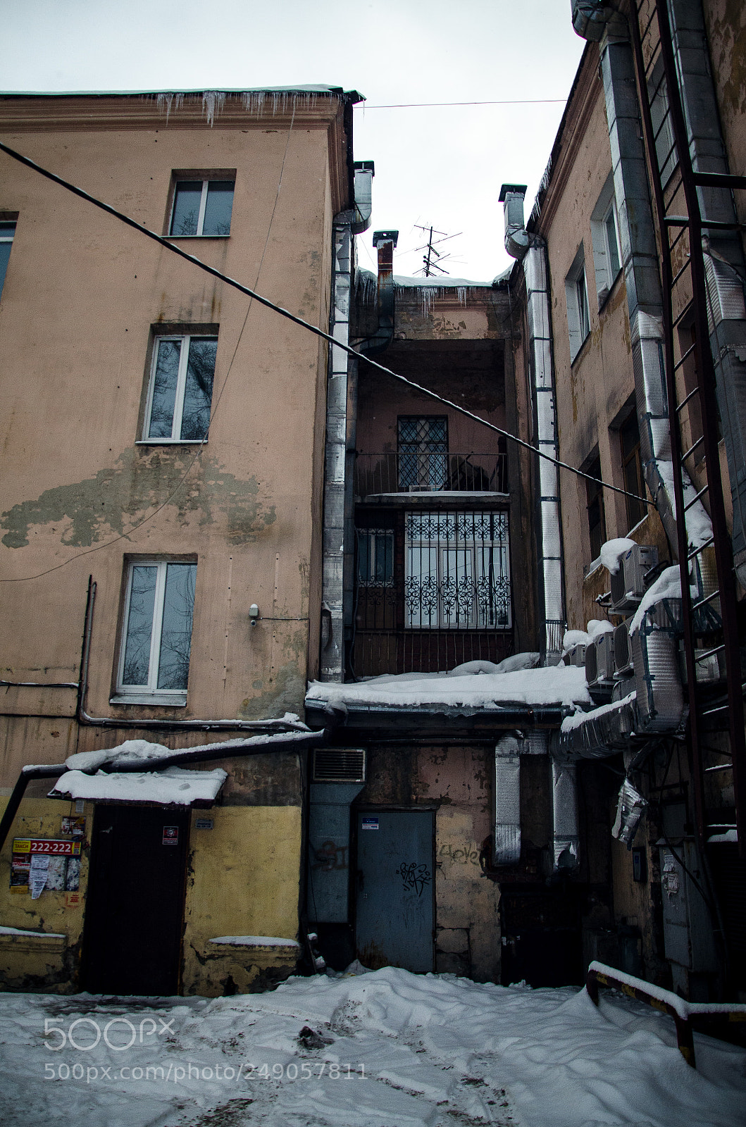 Nikon D5100 sample photo. Hood photography