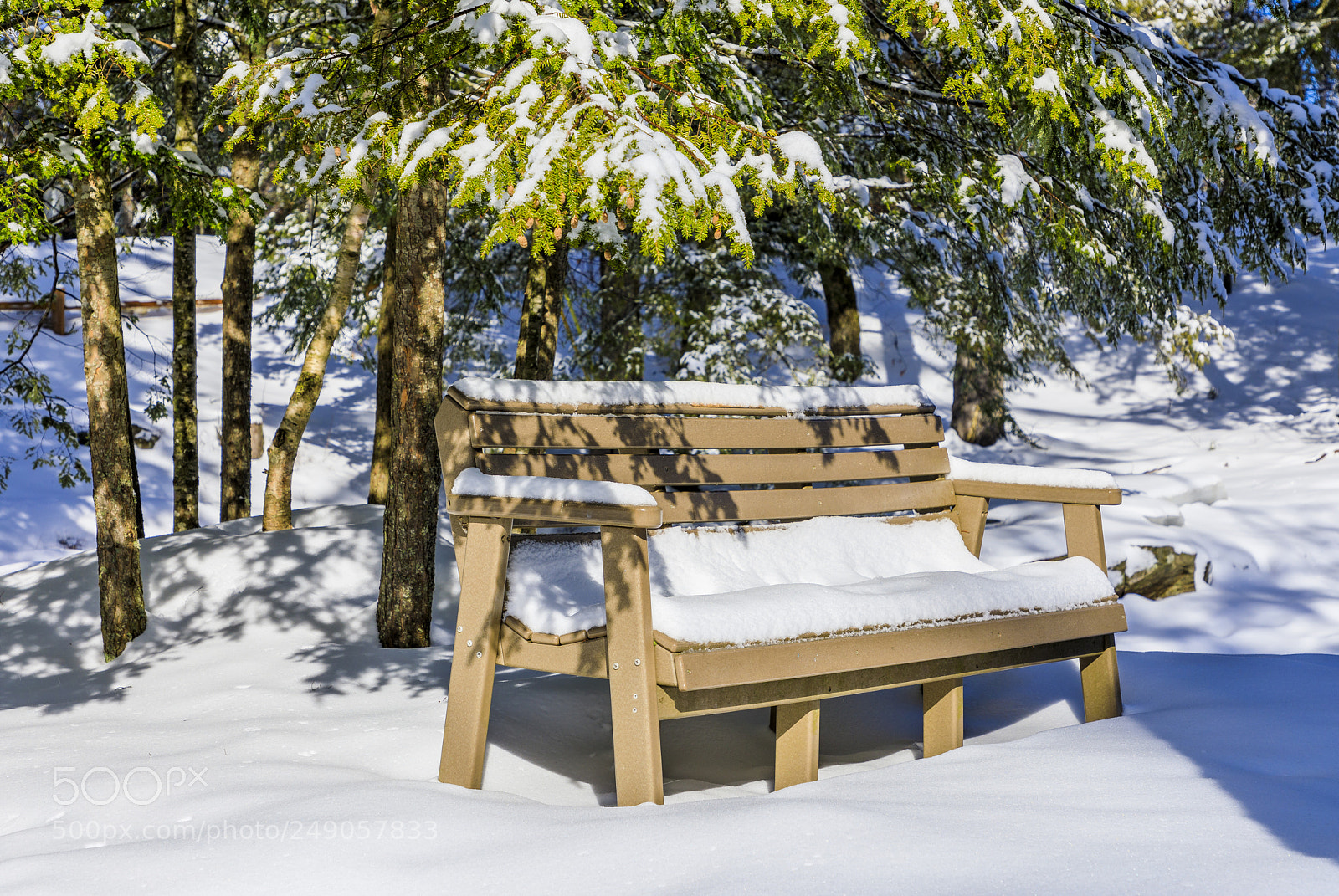 Canon EOS 5D Mark IV sample photo. Nh-jackson-jackson falls photography