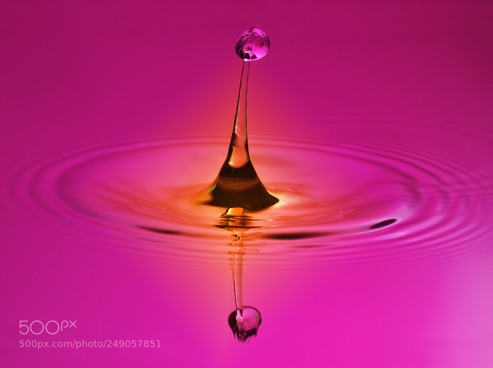 Nikon D90 sample photo. Reflections photography