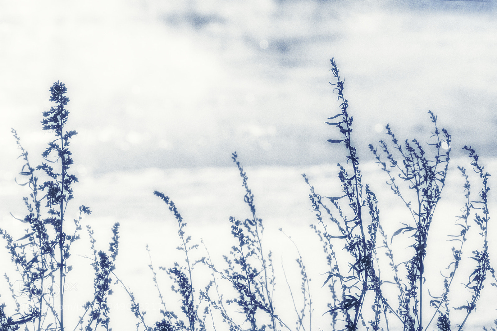 Canon EOS 5D sample photo. Untitled photography