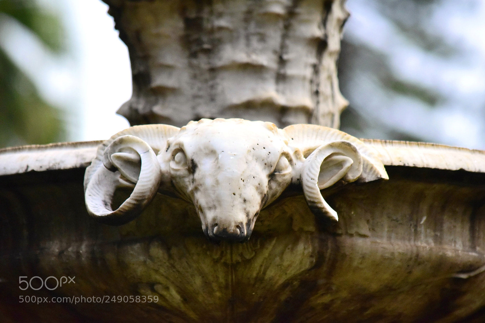 Nikon D5300 sample photo. ... photography
