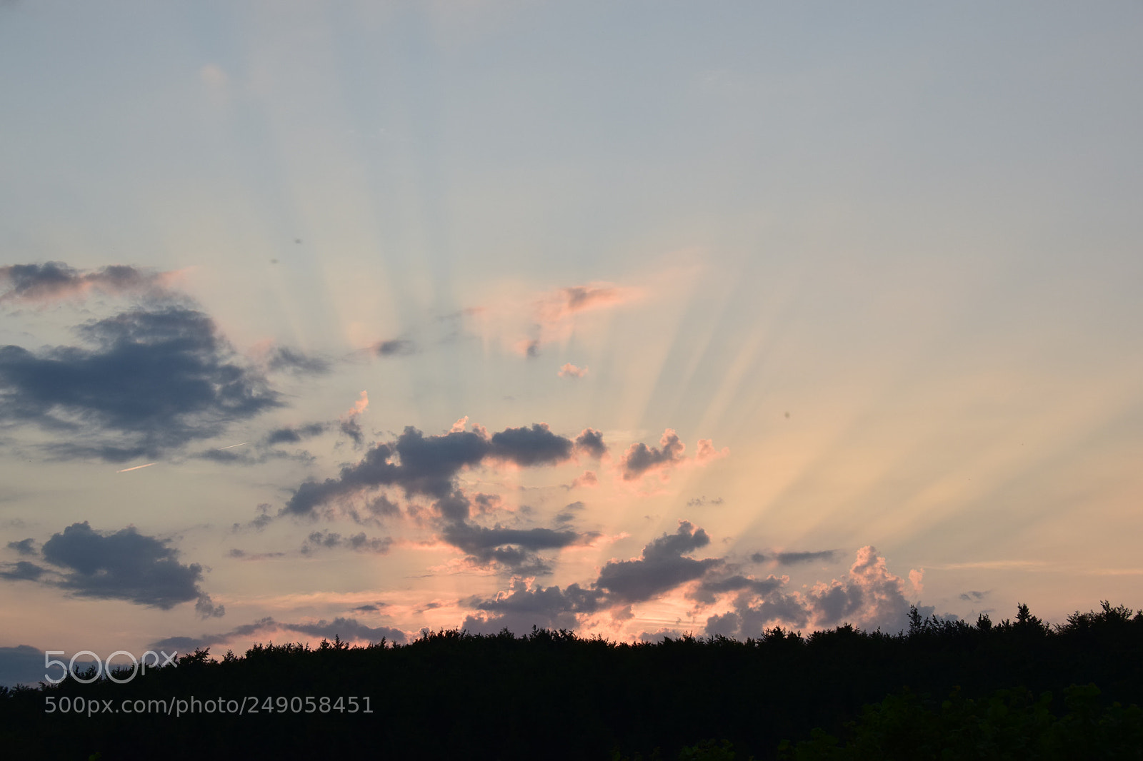 Nikon D5300 sample photo. Halo photography