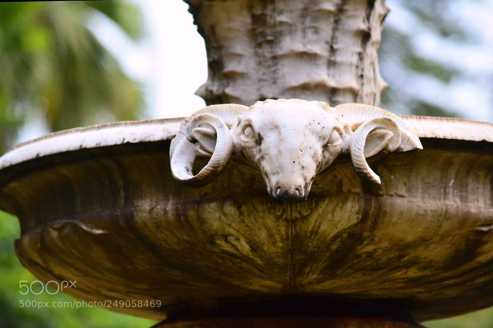 Nikon D5300 sample photo. ... photography