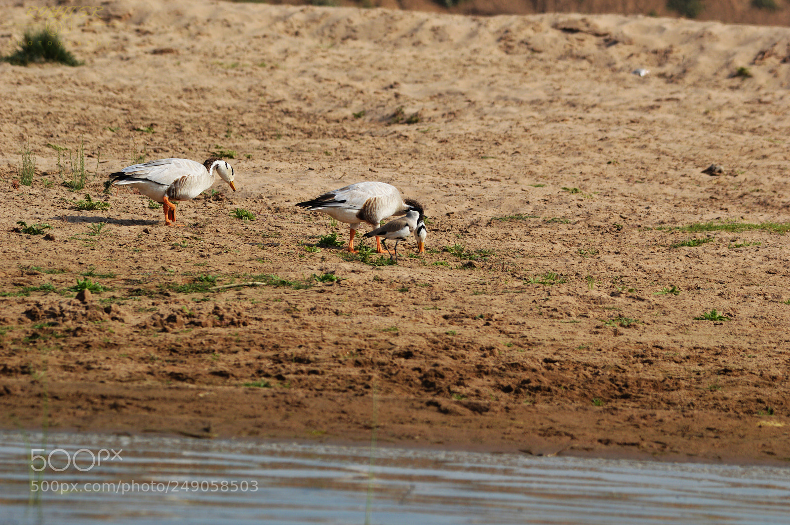 Nikon D3200 sample photo. Family trip photography