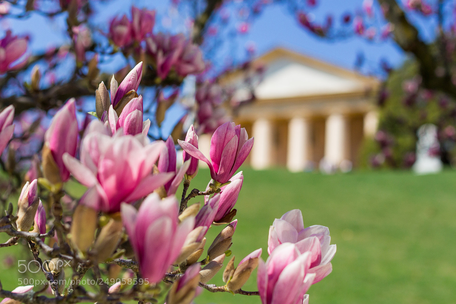 Canon EOS 700D (EOS Rebel T5i / EOS Kiss X7i) sample photo. Spring at arlington national photography