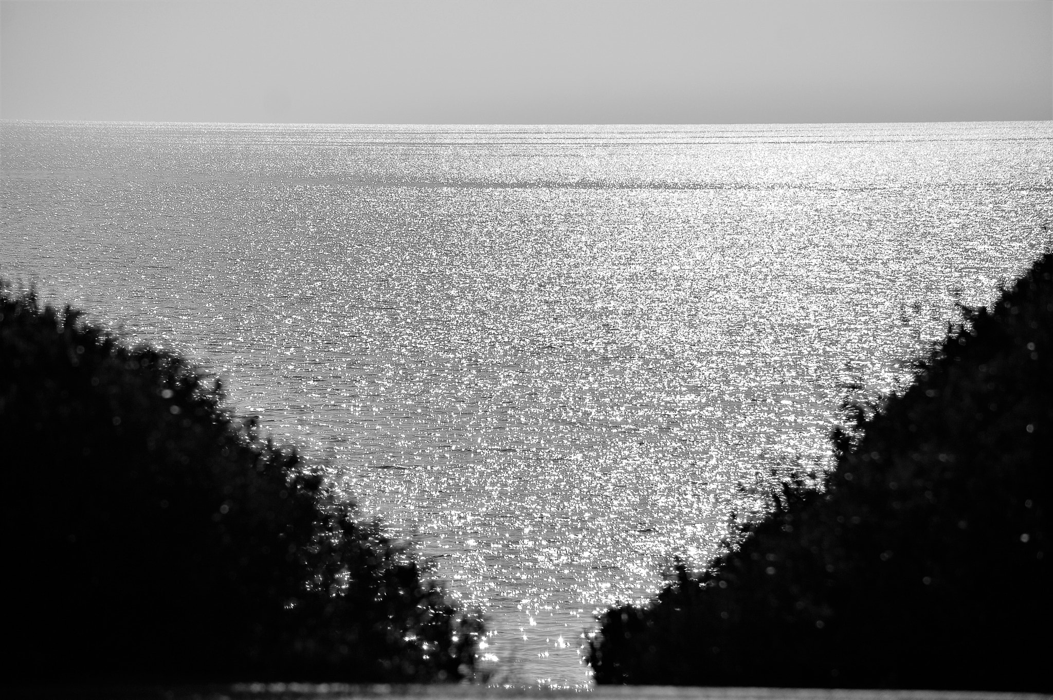 Nikon D3200 sample photo. Backlight photography