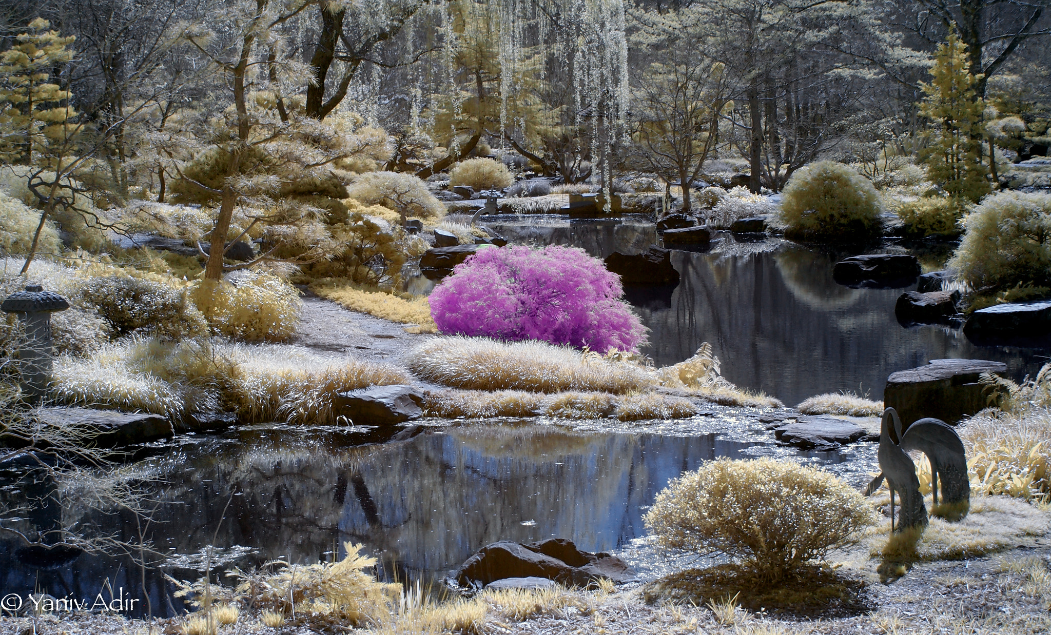 Olympus PEN E-PL2 sample photo. Color infrared. gibbs gardens. photography
