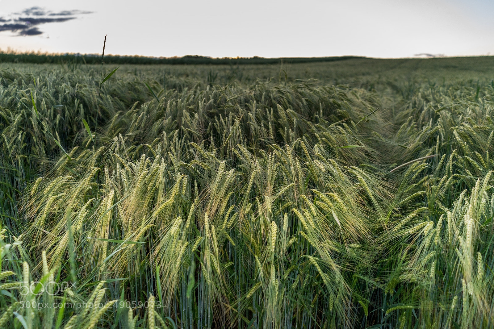 Sony a7 II sample photo. Vilsheim nachtspaziergang photography