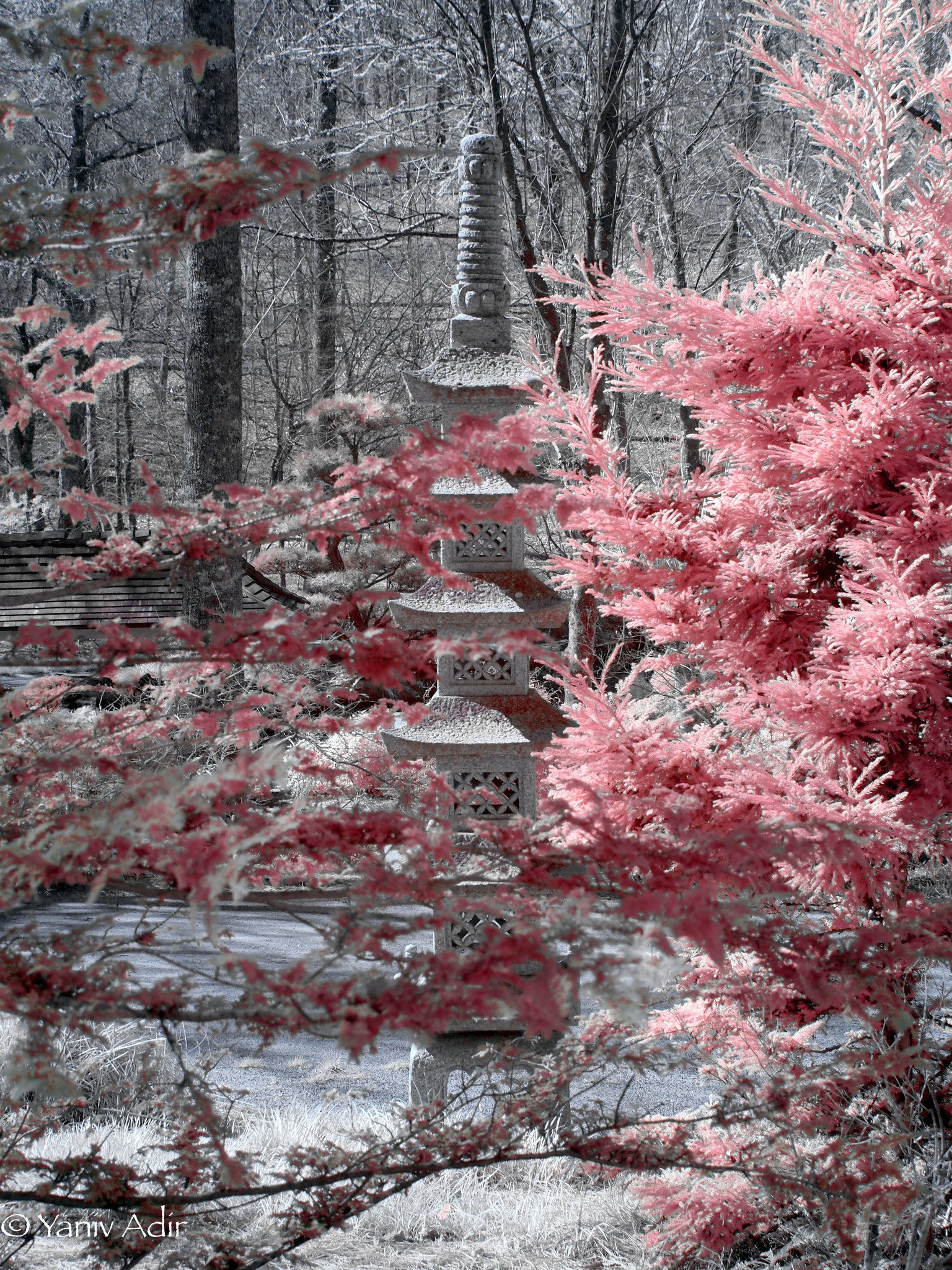 Olympus PEN E-PL2 sample photo. Japanese garden infrared. photography
