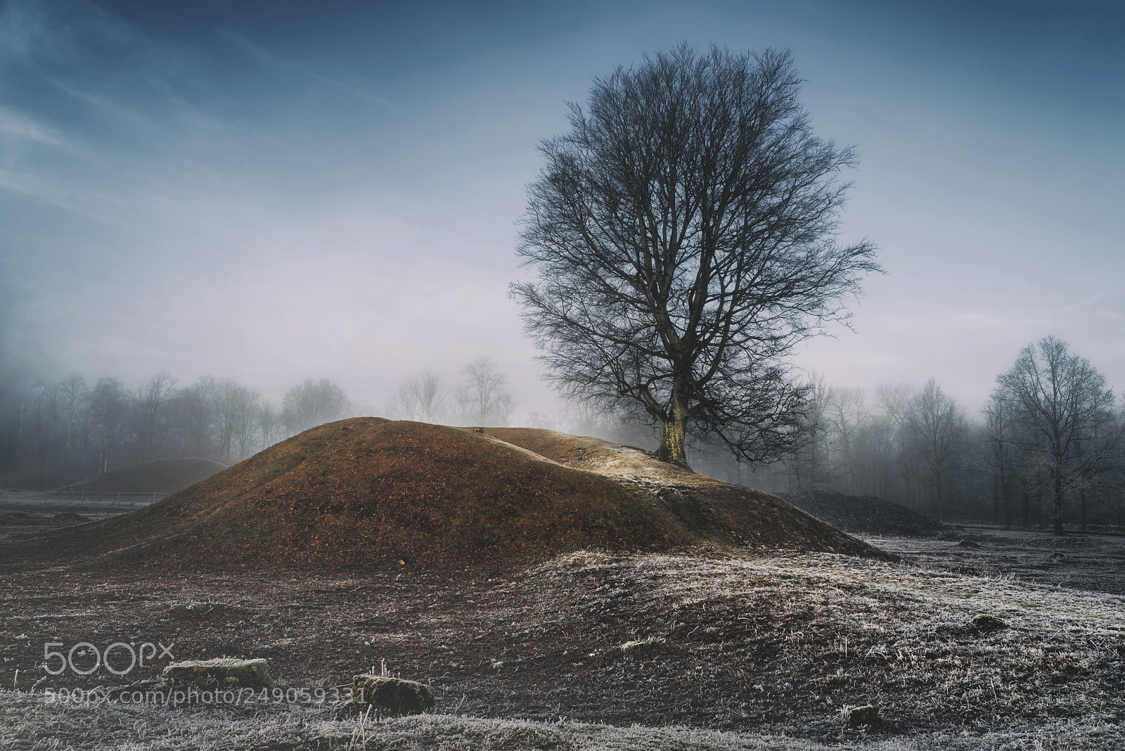 Nikon D610 sample photo. Viking grave. photography
