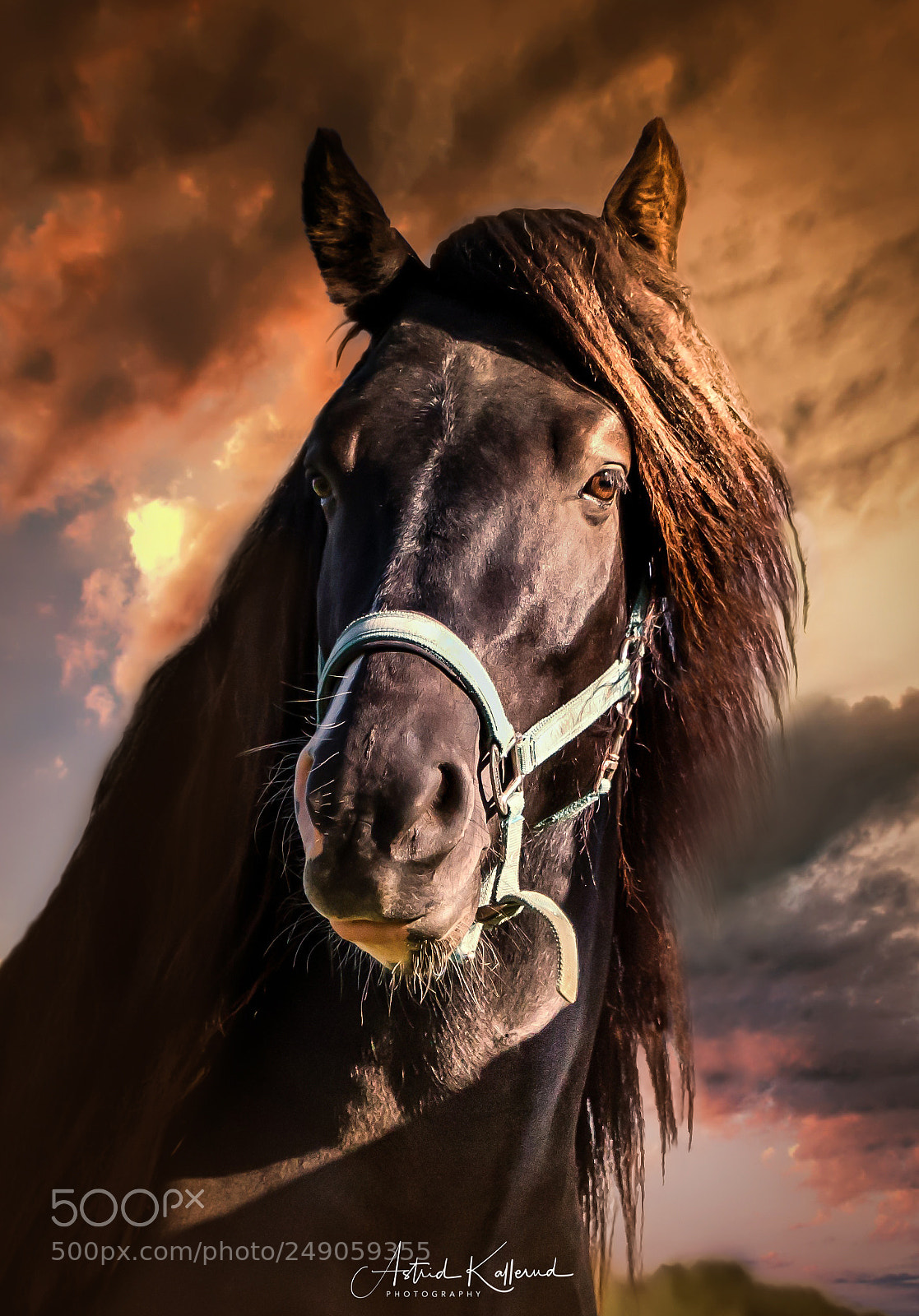 Nikon D7000 sample photo. The sunset beauty photography