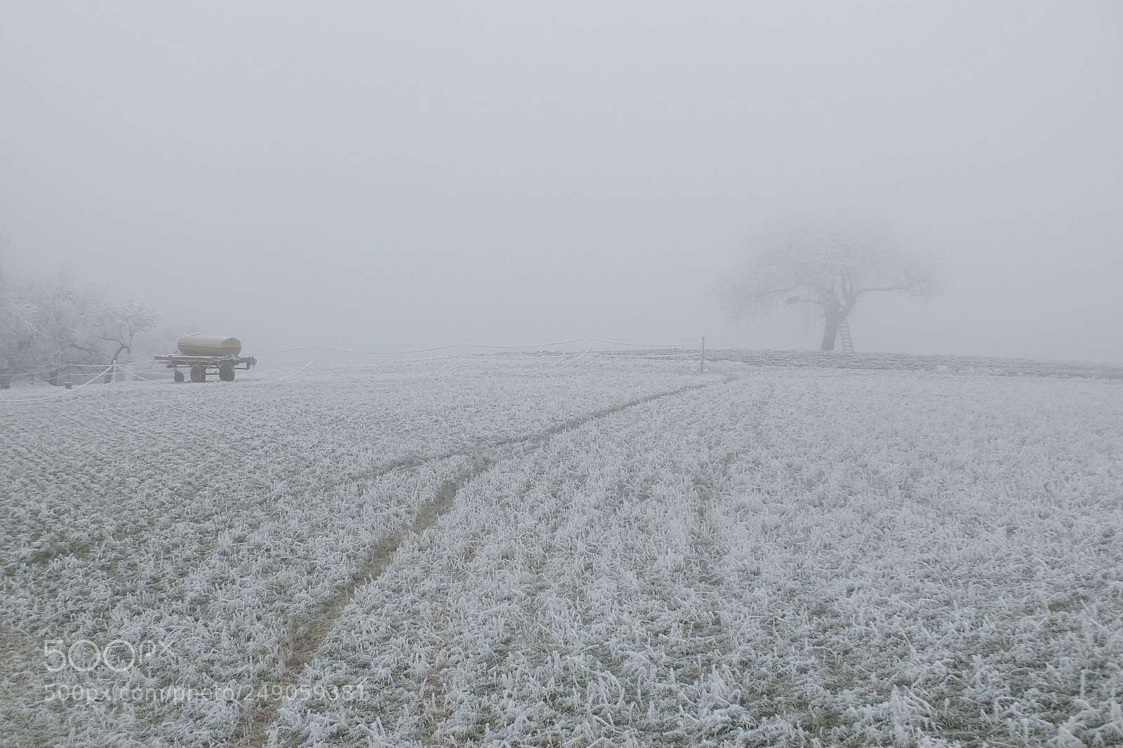 Fujifilm X-S1 sample photo. Lorsbach, taunus, germany photography