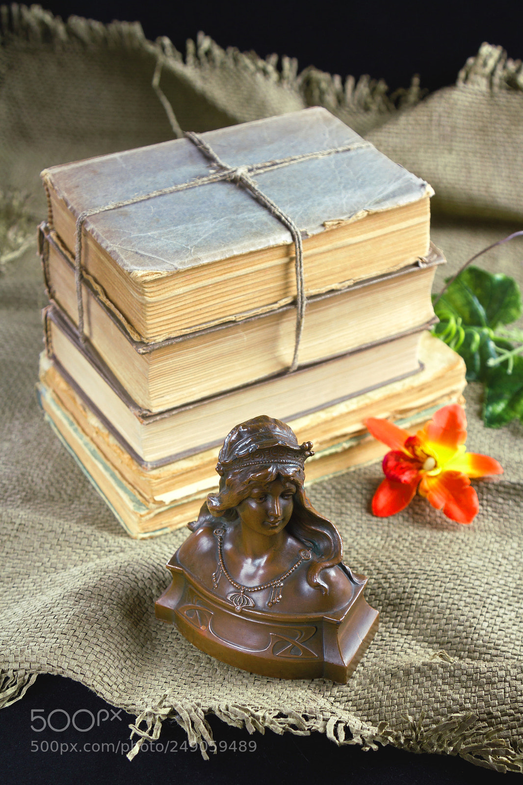 Canon EOS 7D sample photo. Old books, a flower photography