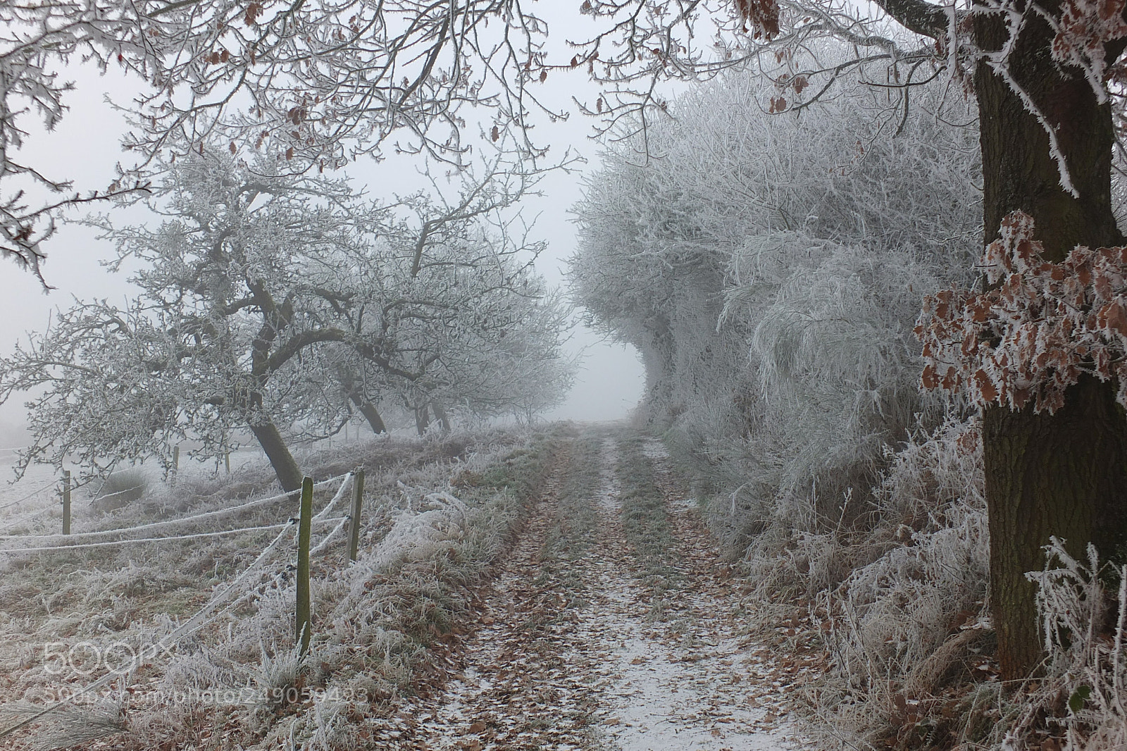 Fujifilm X-S1 sample photo. Lorsbach, taunus, germany photography