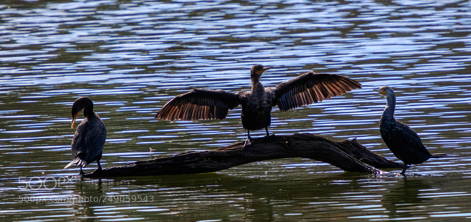 Canon EOS 7D Mark II sample photo. Air dryer photography