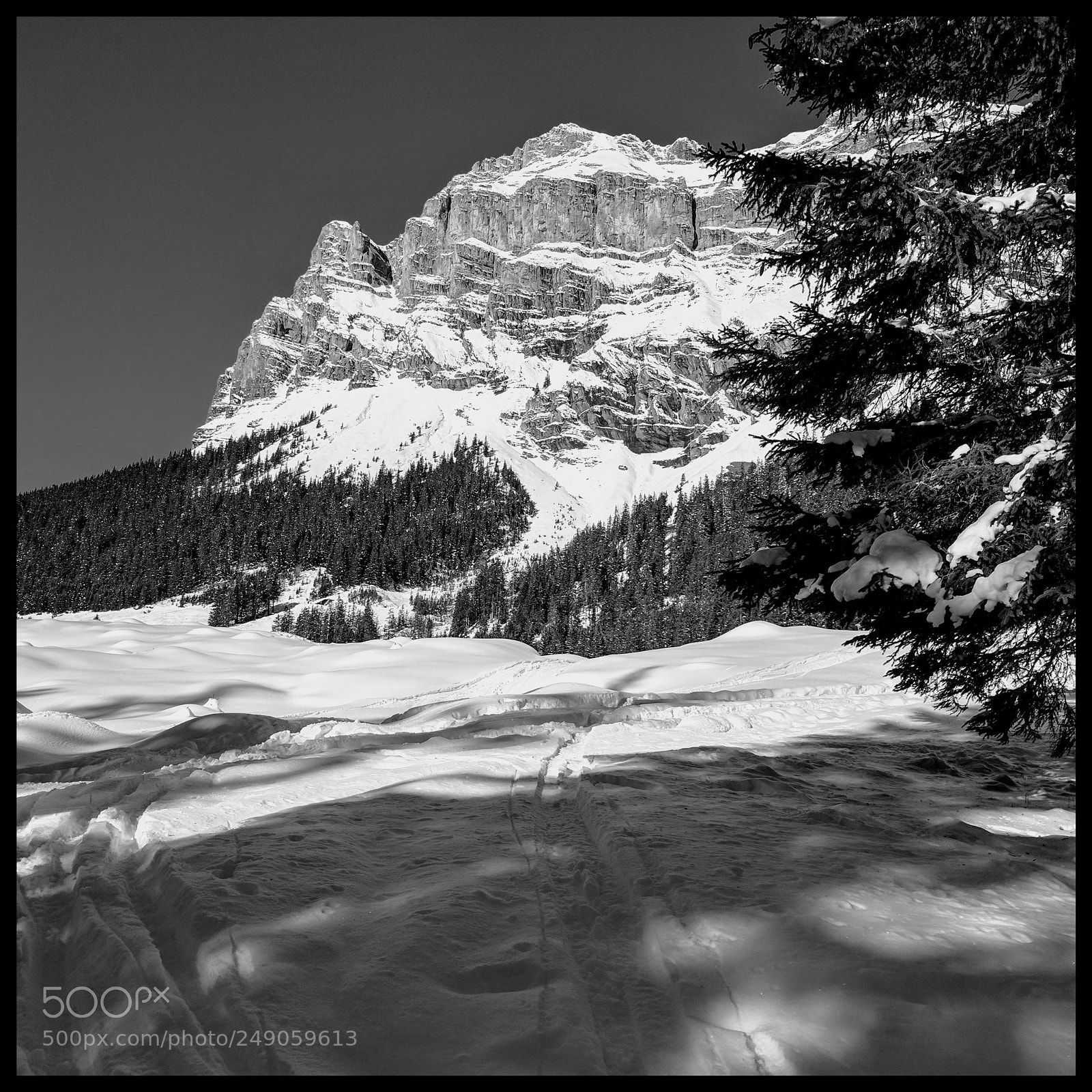 Google Pixel sample photo. Swiss alps, switzerland photography