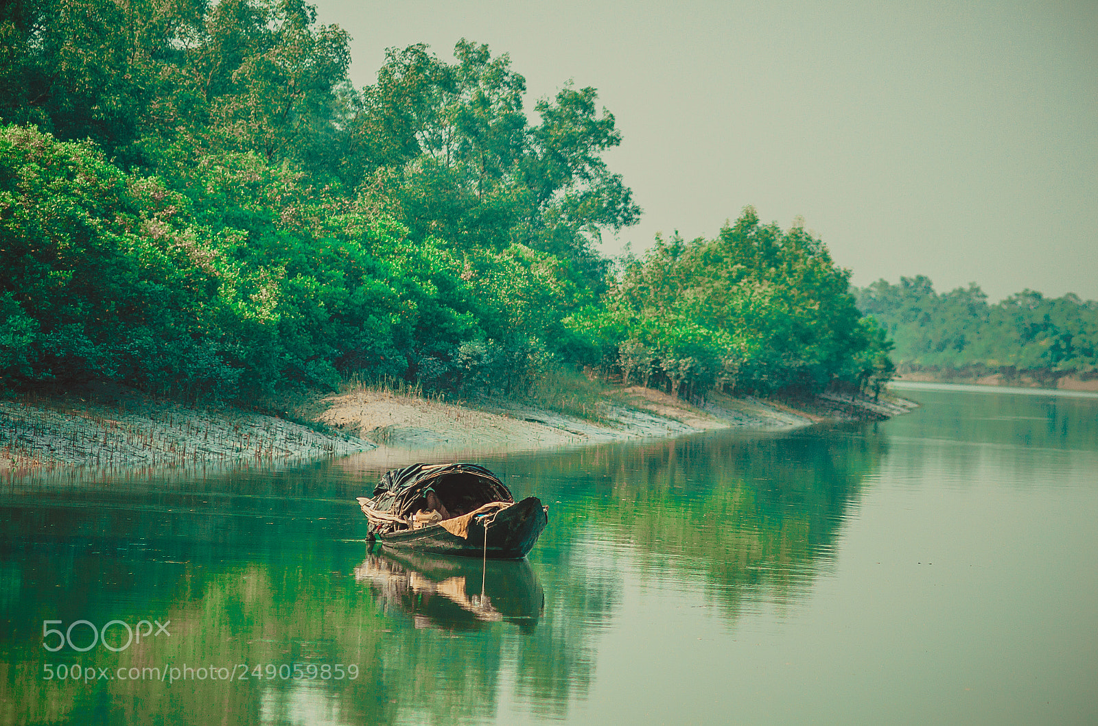 Nikon D7000 sample photo. Fishing tigers photography