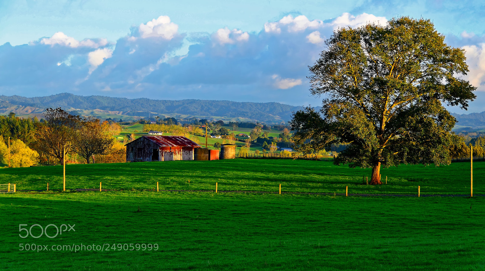 Nikon D5100 sample photo. Farmer's morning i photography