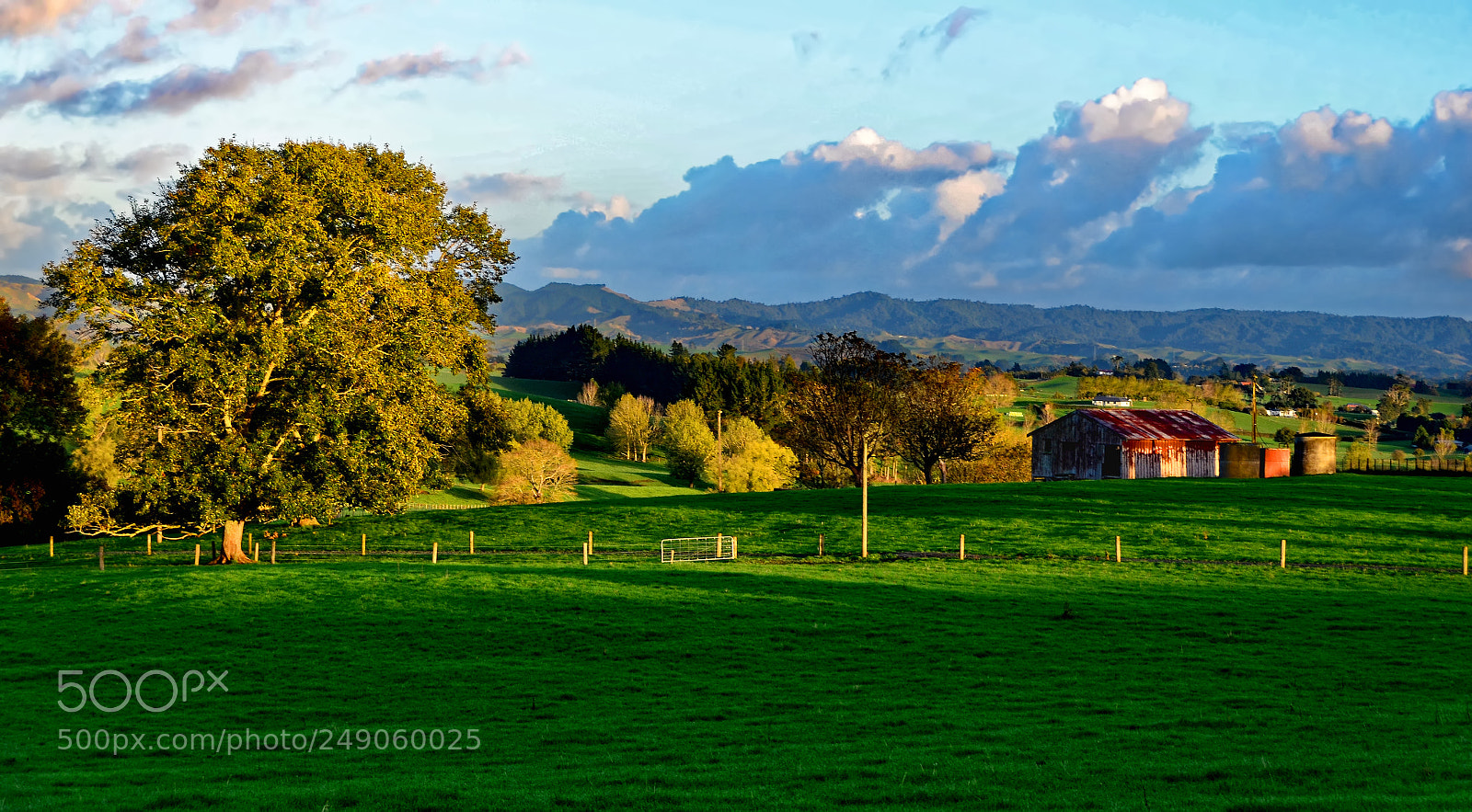 Nikon D5100 sample photo. Farmer's morning ii photography