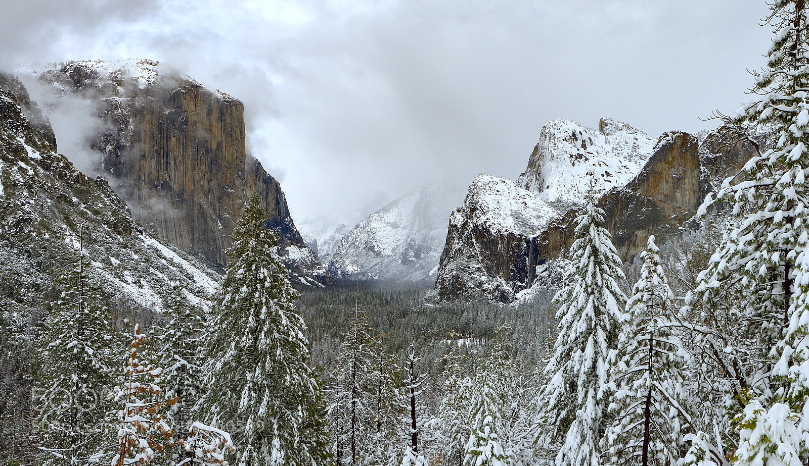 Nikon D800E sample photo. Yosemite photography