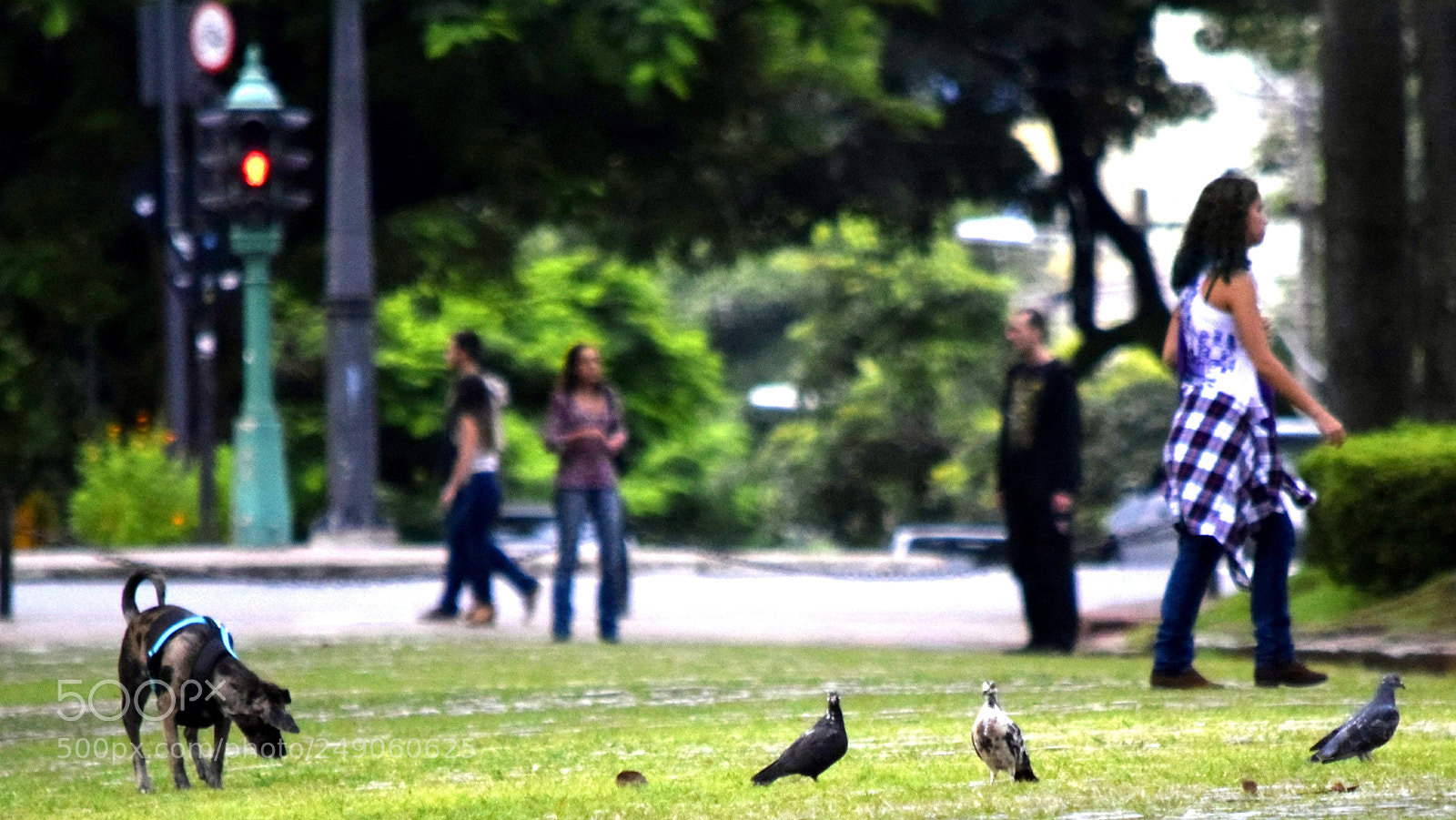 Nikon D5300 sample photo. ... photography
