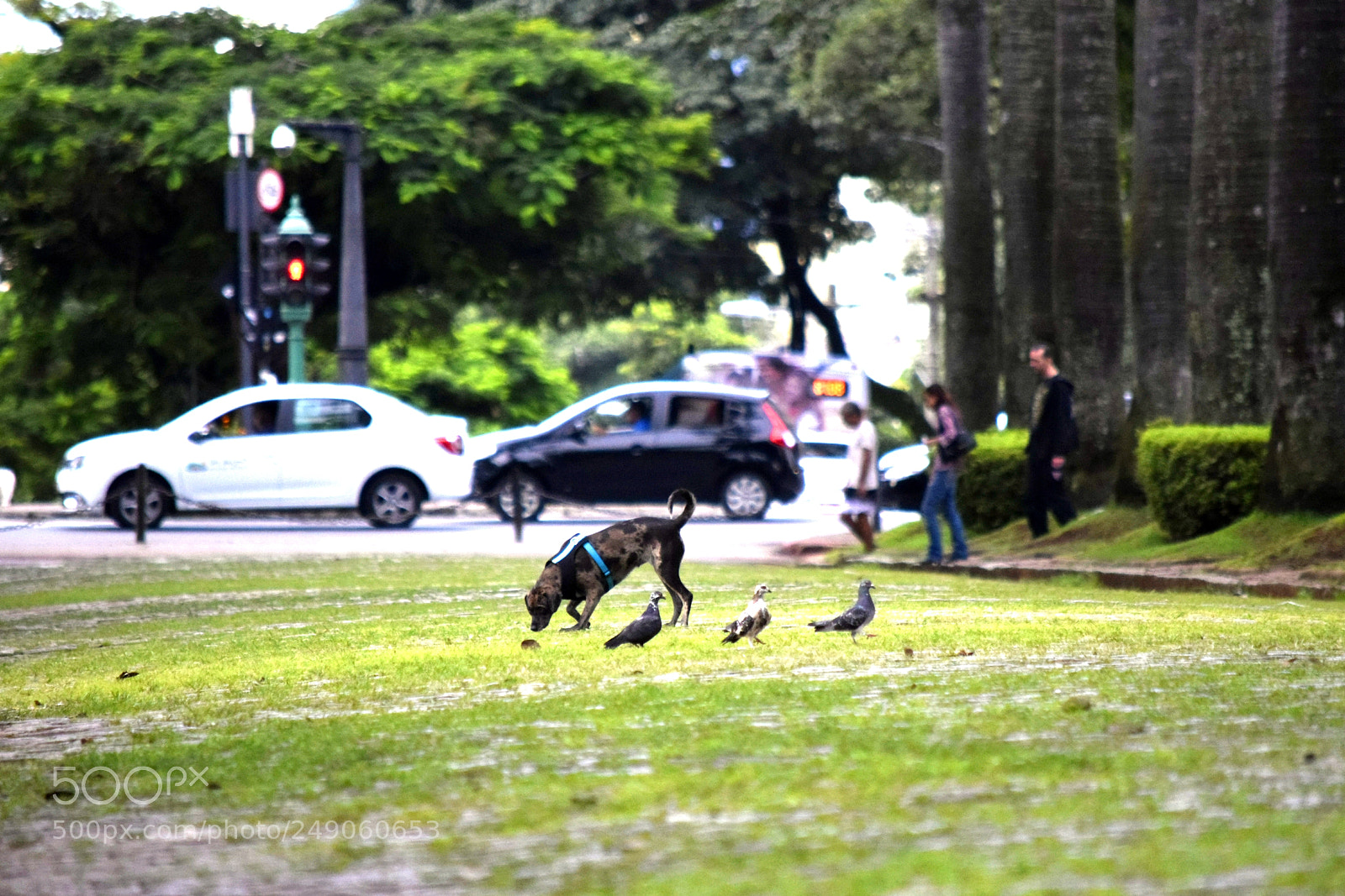 Nikon D5300 sample photo. ... photography