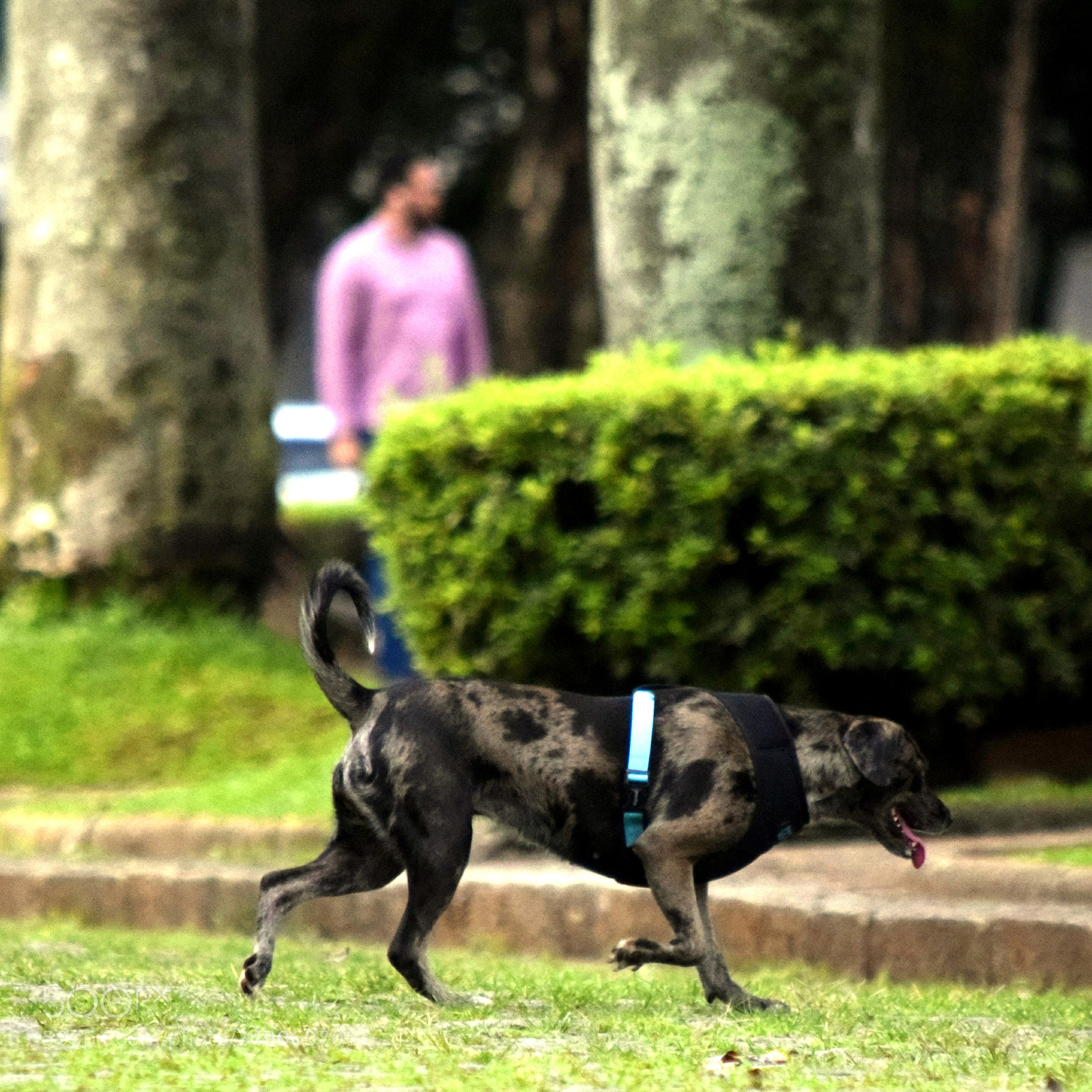 Nikon D5300 sample photo. ... photography