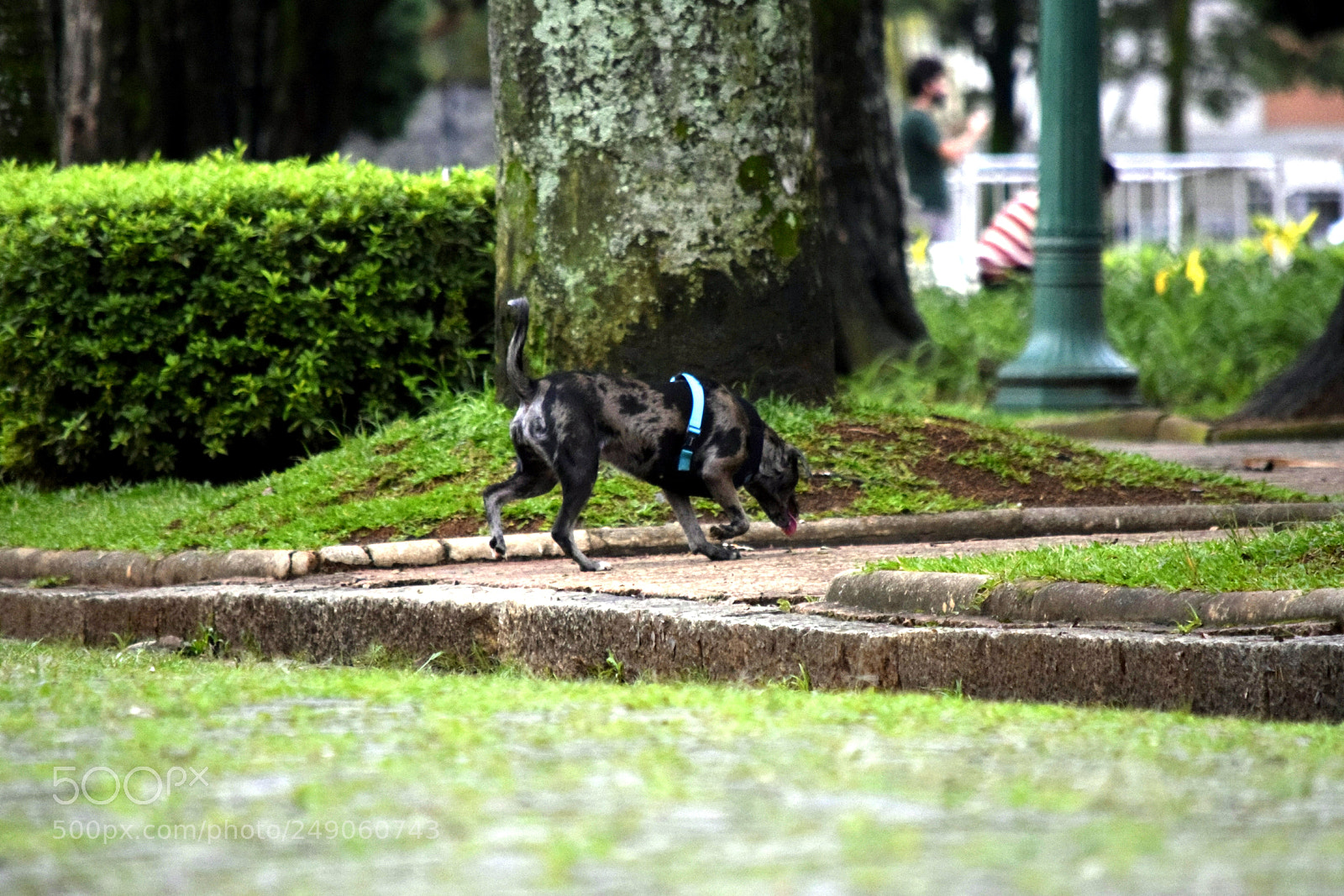 Nikon D5300 sample photo. ... photography