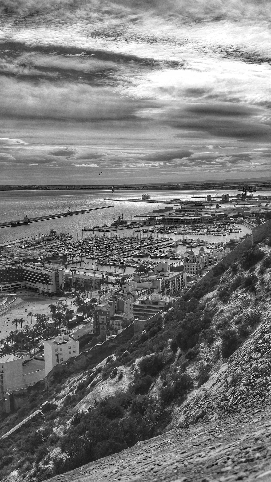 OnePlus 2 sample photo. Alicante photography