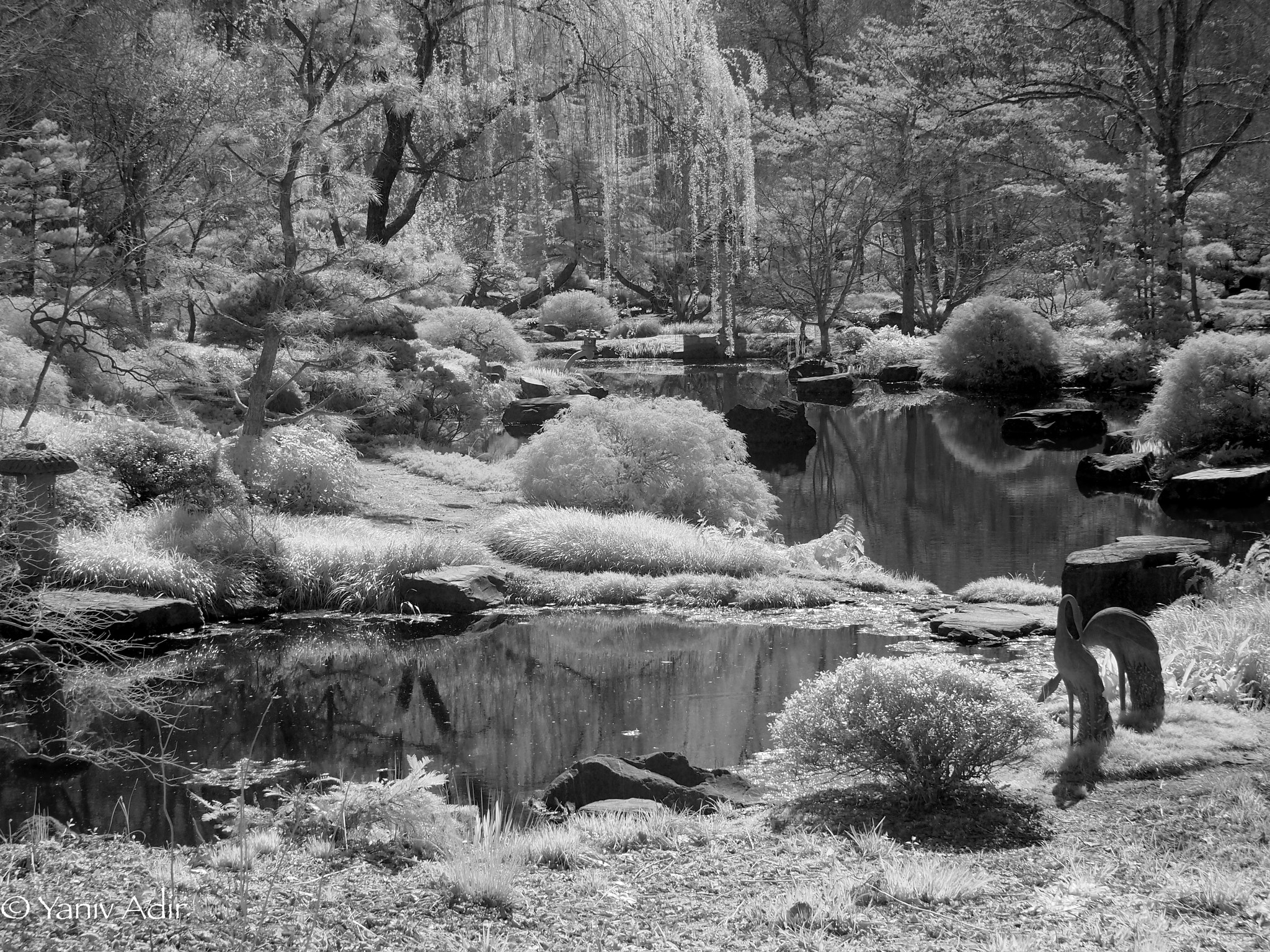 Olympus PEN E-PL2 sample photo. Infrared. photography