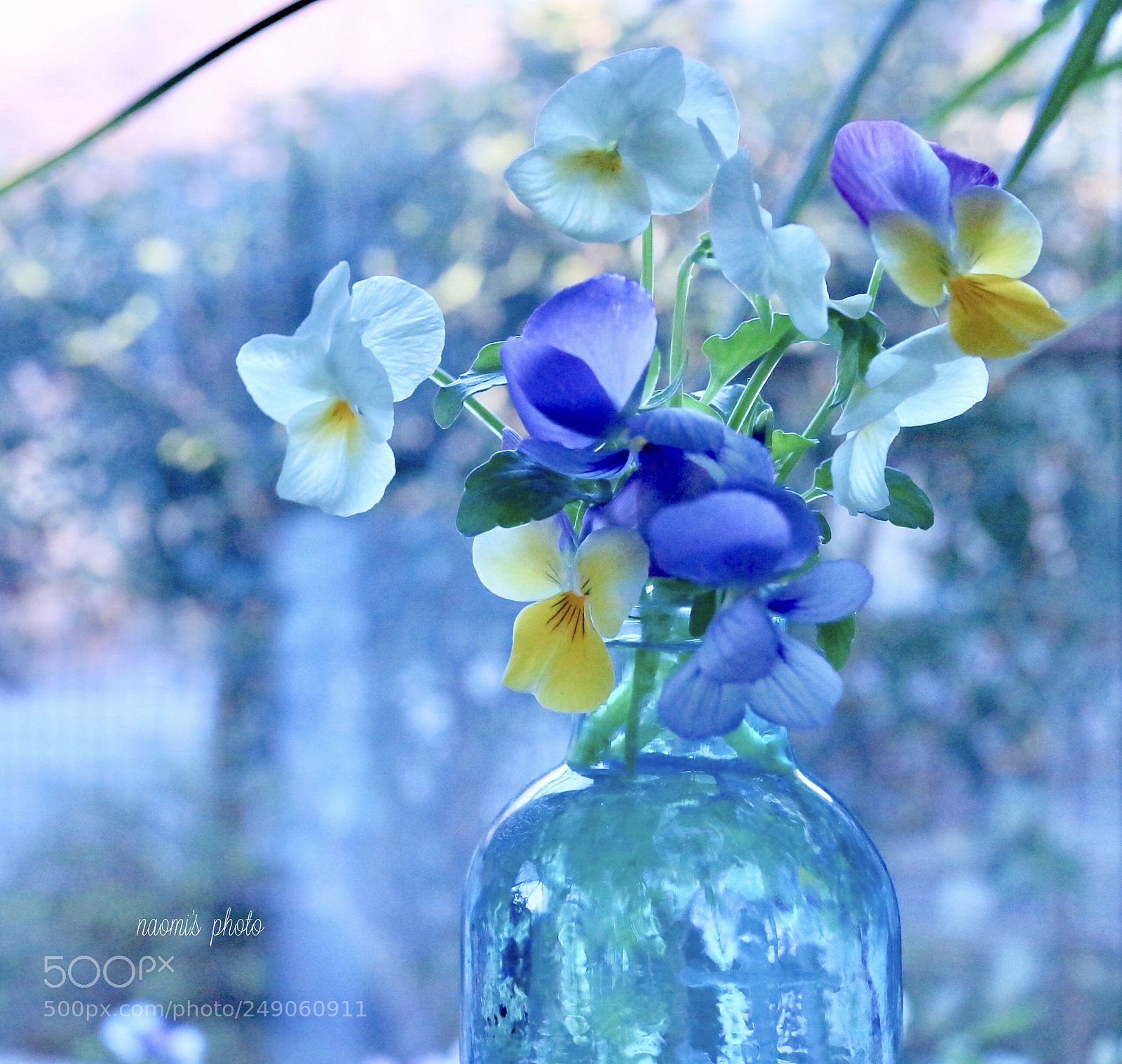 Canon EOS M10 sample photo. Viola photography