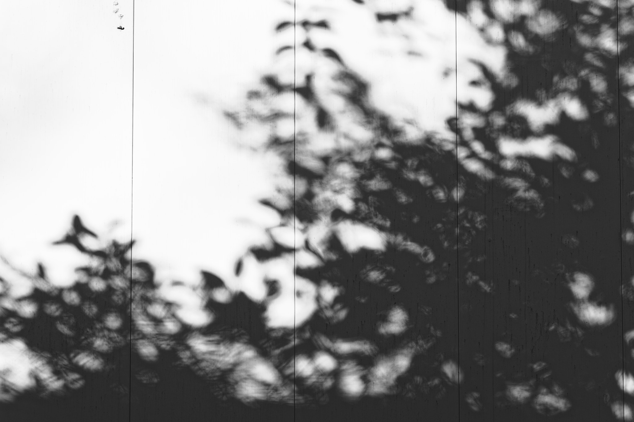 Nikon D750 + Nikon AF Nikkor 50mm F1.8D sample photo. I will leave that to your imagination#113 photography