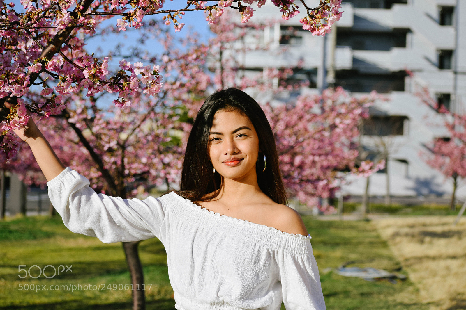 Nikon D5300 sample photo. Just bloom. photography