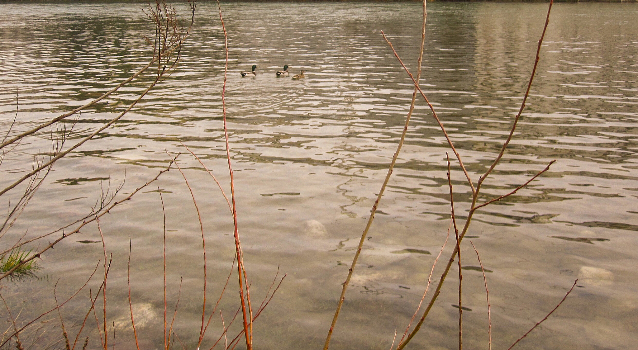 Canon PowerShot SD780 IS (Digital IXUS 100 IS / IXY Digital 210 IS) sample photo. Brenta river photography