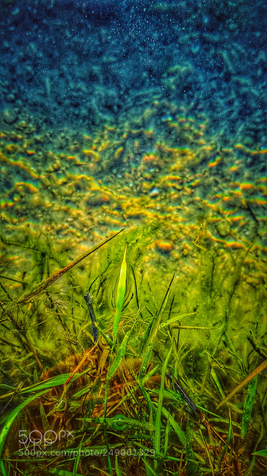 Xiaomi Redmi 4 Pro sample photo. Untitled photography